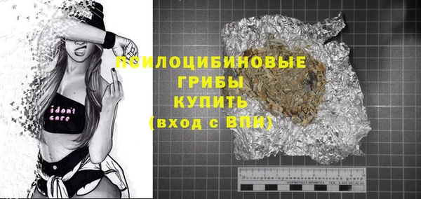МДПВ Алексин