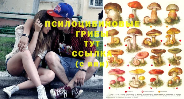apvp Кодинск