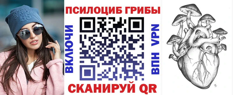 Псилоцибиновые грибы Cubensis  Новошахтинск 