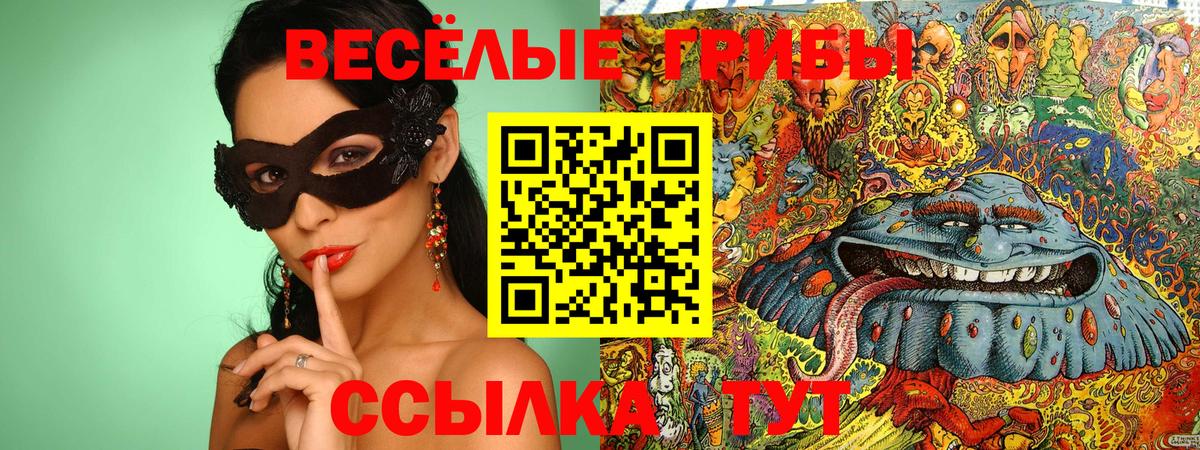 Псилоцибиновые грибы Psilocybine cubensis Новошахтинск