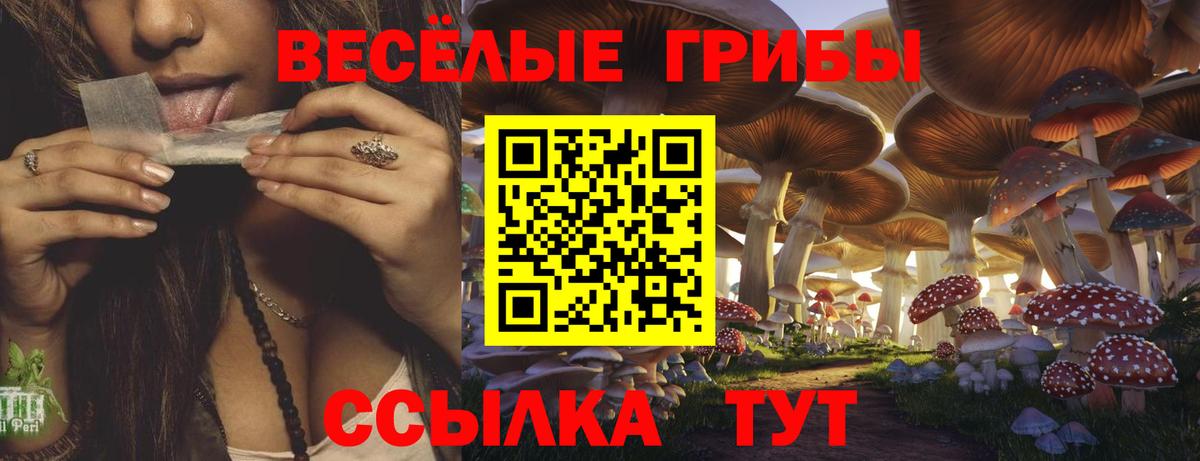 Галлюциногенные грибы ЛСД  Псилоцибиновые грибы Psilocybine cubensis  Вход с VPN  Новошахтинск 